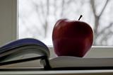 Apple lay on book next to window