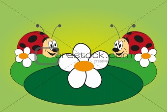 Funny picture of two ladybug