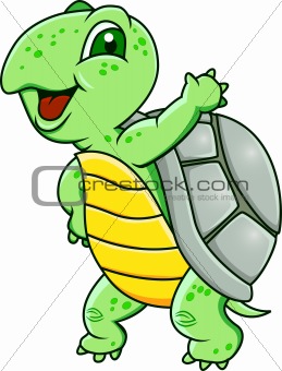 Funny Turtle