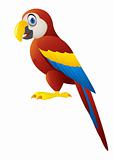 Macaw Bird Isolated