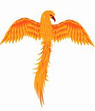 Phoenix bird