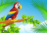 Bird In The Tropical Forest