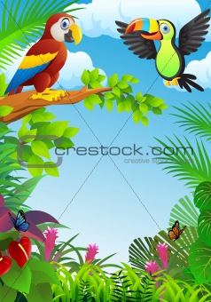 Bird In The Tropical Forest
