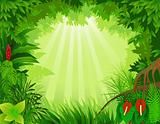Beautiful tropical forest background