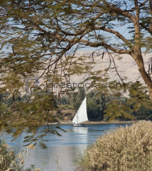 Traditional sailing felluca on the Nile