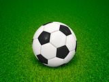 soccer ball on green grass