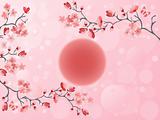 Cherry blossom - Japanese spring
