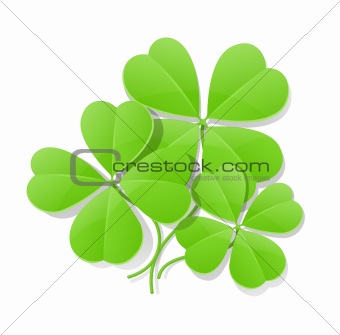 four leaf clover for saint patrick's day