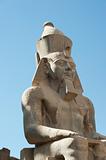 Statue of Ramses II at Luxor temple