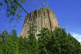 Devil's Tower with Branch