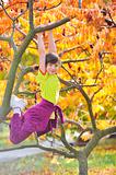 girl climbed on tree