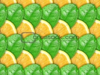 Background with lemon slices and green leaf