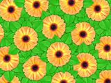 Background of orange flowers and green leaf