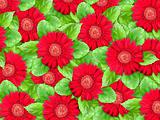 Background of red flowers and green leaf