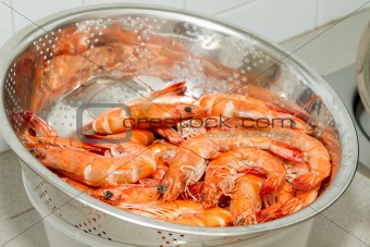Cooked Prawns with Shell in Strainer