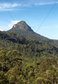 Adam's Peak, Sri Pada