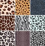 abstract african animal skin pattern
