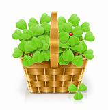 basket with clover