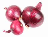 Three a purple fresh onions
