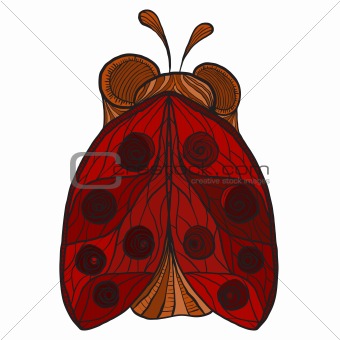 vector stylized ladybug