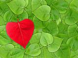 Abstract Valentine background with leaf