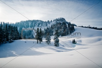 Winter Landscape in Austria