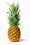 Fresh pineapple fruit isolated