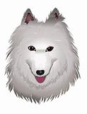 white Samoyed dog smiles