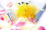 fork and knife isolated with dahlia and rose petals