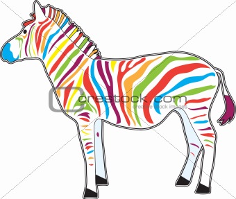 Multicolor Zebra