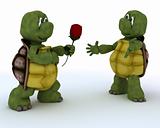 tortoise with romantic gift