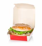 Hamburger in package isolated