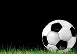 Soccer background with ball