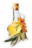 bottle with oil and a branch with berries of sea buckthorn