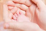baby's foot in woman hands