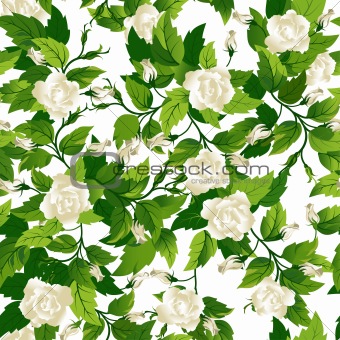 Seamless background with white roses