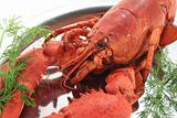 cooked lobster with dill
