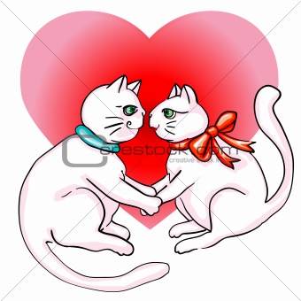 cute cats valentine s day
