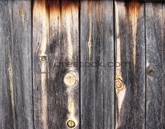 very old wood texture