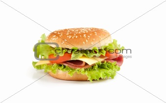 Big sandwich isolated on white background