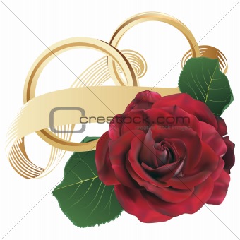 Wedding rings and red rose