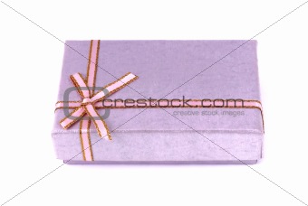 Gift box wrapped decorative ribbon