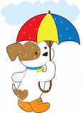 Cute Puppy in Rain