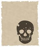 the brown vector grunge skull on old paper