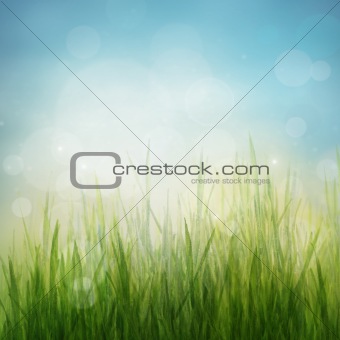 Spring or summer abstract season nature background 