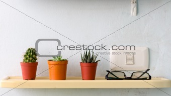 Three small cactus plant in plastic pot and black glasses