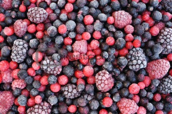 Close up of frozen mixed fruit  - berries - red currant, cranberry, raspberry, blackberry, bilberry, blueberry, black currant