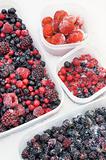 Plastic containers of frozen mixed berries in snow - red currant, cranberry, raspberry, blackberry, bilberry, blueberry, black currant, strawberry