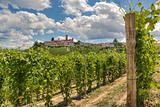 Vineyards and small town. Castiglione Falletto, Italy.