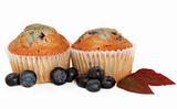 Blueberry Muffin Cupcakes